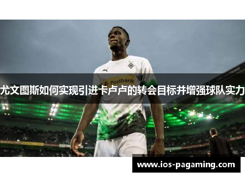 尤文图斯如何实现引进卡卢卢的转会目标并增强球队实力