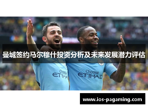 曼城签约马尔穆什投资分析及未来发展潜力评估