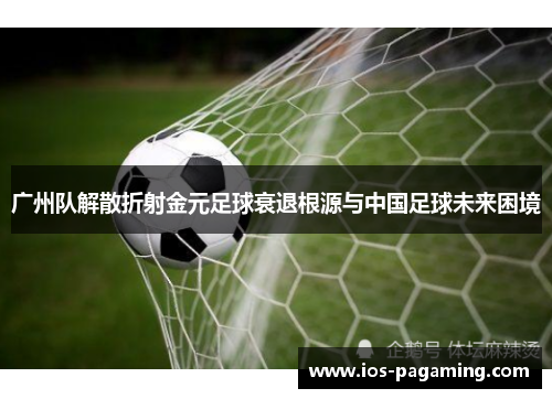 广州队解散折射金元足球衰退根源与中国足球未来困境