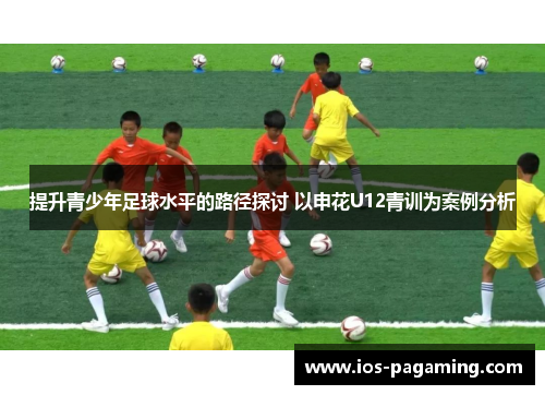 提升青少年足球水平的路径探讨 以申花U12青训为案例分析
