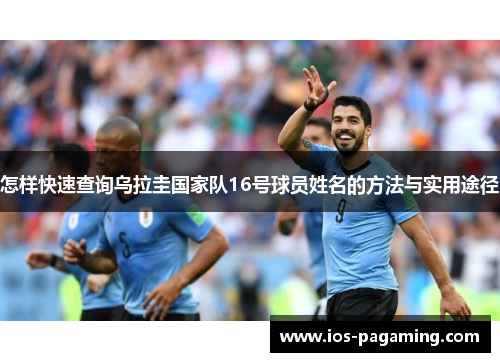 怎样快速查询乌拉圭国家队16号球员姓名的方法与实用途径