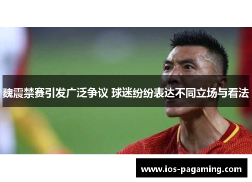 魏震禁赛引发广泛争议 球迷纷纷表达不同立场与看法