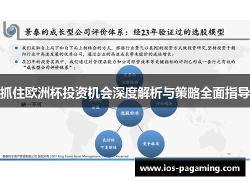 抓住欧洲杯投资机会深度解析与策略全面指导