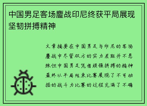 中国男足客场鏖战印尼终获平局展现坚韧拼搏精神